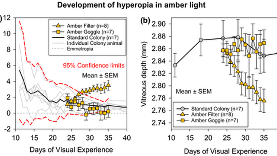 Amber light produces hyperopia in tree shrews